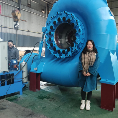 qualité  Reliable Water Turbine Generator For Various Speeds And Frequencies usine