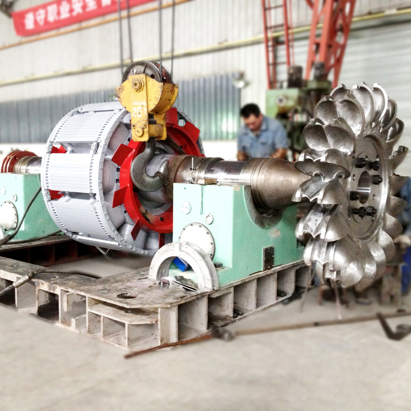 Générateur de turbine Pelton à refroidissement par huile Générateur de puissance de turbine Pelton avec corps en fonte