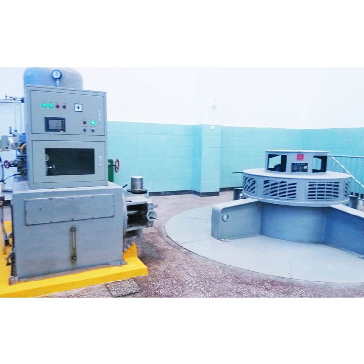 Générateur de turbine hydraulique pour tête d'eau de 5 m à 500 m avec une efficacité de 90 à 96%