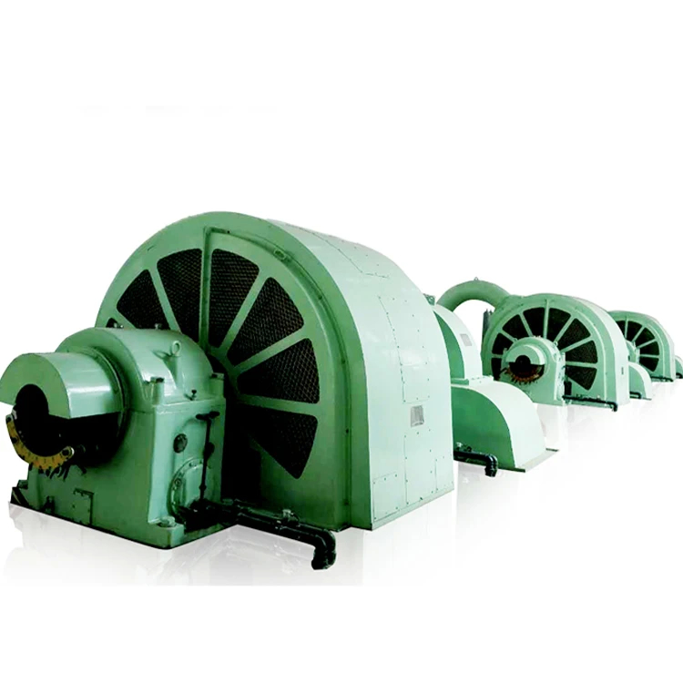 Plage de vitesse 500-3000 r/min Générateur de turbine à roues Pelton pour l'énergie hydroélectrique