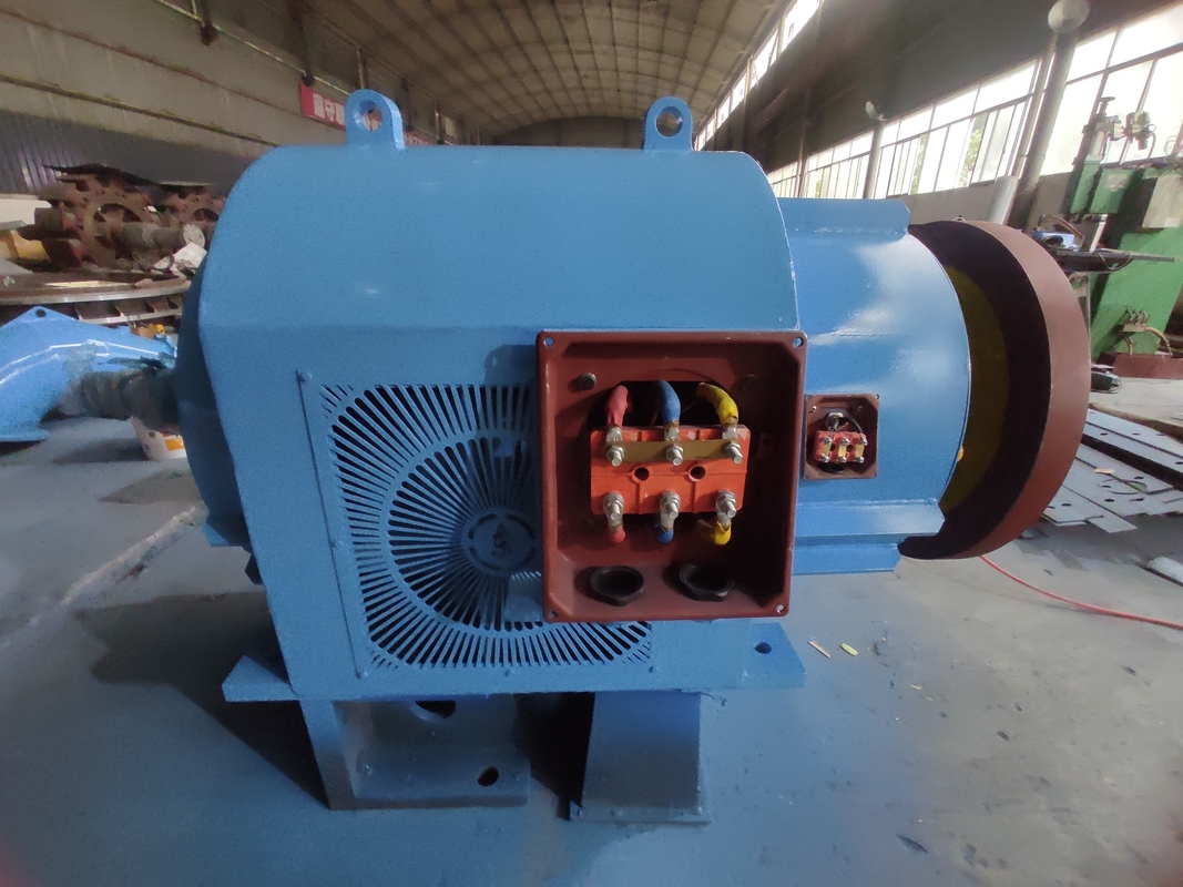Générateur hydraulique personnalisé 200kw-20mw 450-1000rpm 5m-500m Modèle de tête d'eau