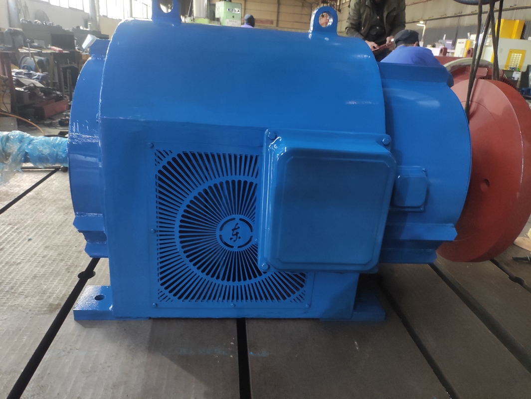 Générateur hydraulique personnalisé 200kw-20mw 450-1000rpm 5m-500m Modèle de tête d'eau
