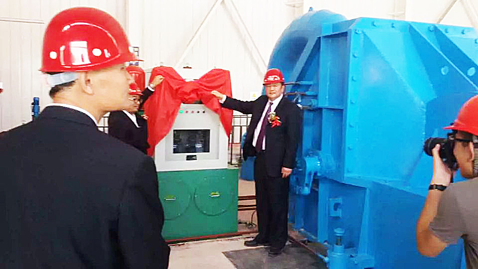 Générateur de turbine de type Pelton pour la production d'électricité en fonte/acier inoxydable