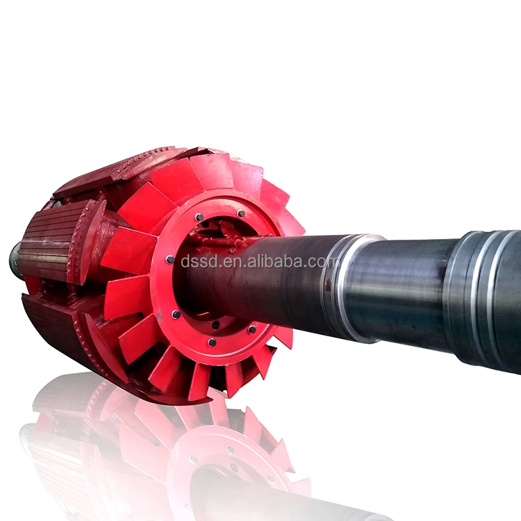 Turbine à eau verticale silencieuse 220V-690V Couleur personnalisée sans pinceau/Silicium statique