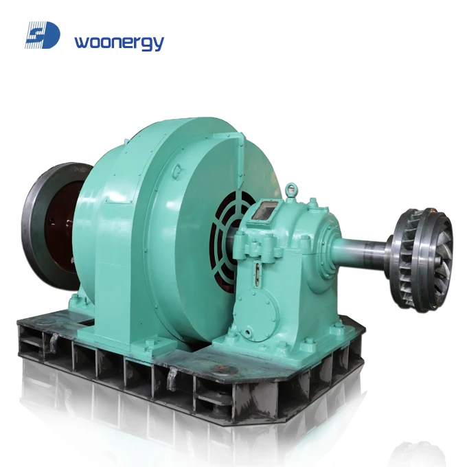 Générateur de turbine à eau verticale sans balai 200kw-20mw Puissance de sortie Installation intérieure/extérieure 50Hz/60Hz