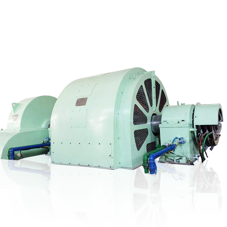 Générateur de turbine de type Pelton de 100 kW à 50 MW avec construction en acier inoxydable