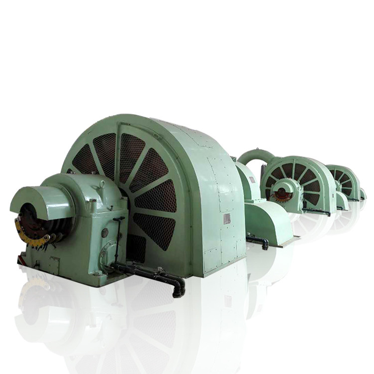 Puissance de sortie Générateur de turbine Pelton Conception légère Sans pinceau/Tyristor Excitation Isolation de classe F