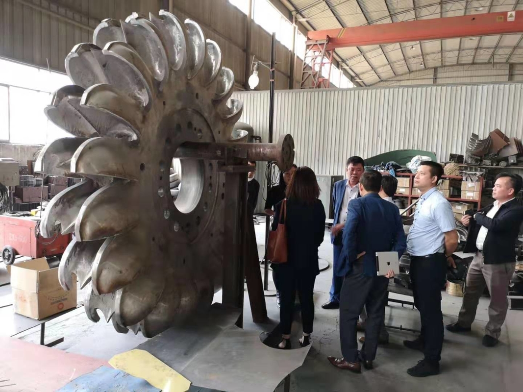 Générateur de turbine Pelton à refroidissement par huile Générateur de puissance de turbine Pelton avec corps en fonte