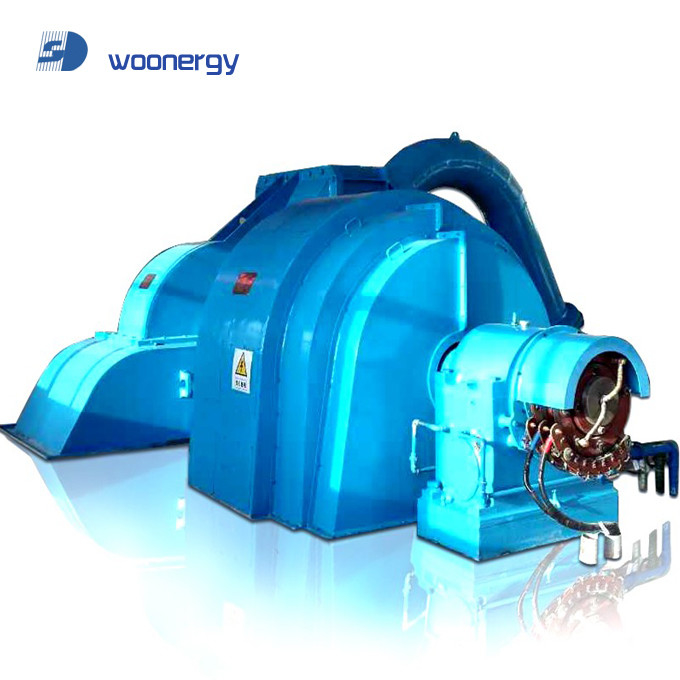 Générateur de turbine Pelton de 10 kV à fréquence de 60 Hz