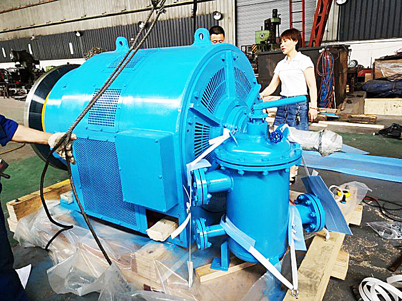 Générateur de turbine hydraulique à tête d'eau réglable pour une puissance personnalisée à 50/60 Hz