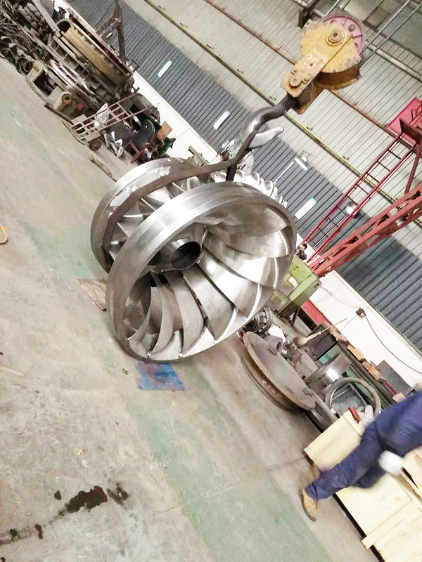 Durabilité Turbine à eau à haute tête pour une production d'énergie à tête d'eau personnalisée jusqu'à 20 MW