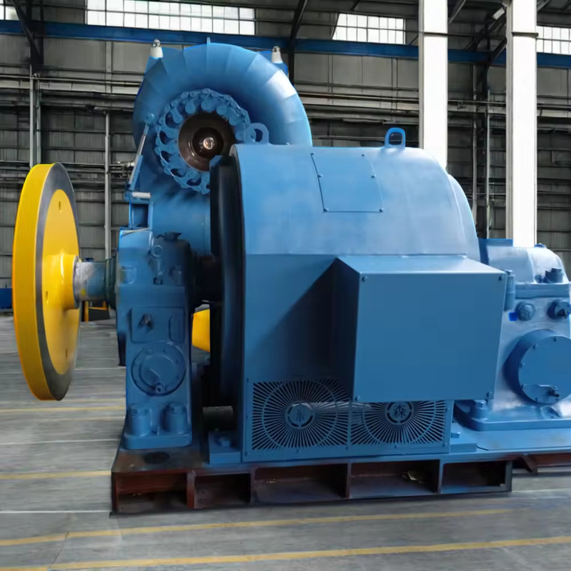 Turbine à haute tête d'eau / Francis Turbine Générateur pour les têtes d'eau 5m-500m