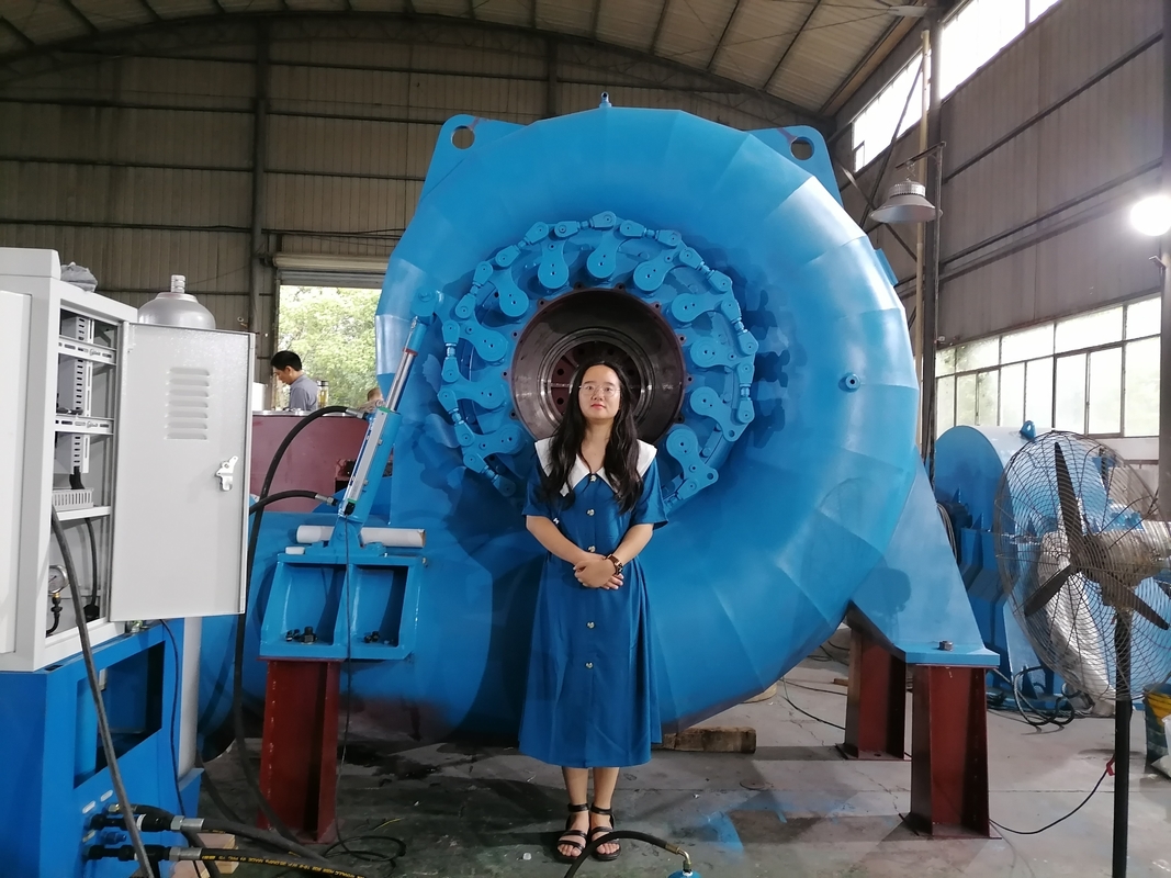Générateur de turbine à eau polyvalent de couleur personnalisée pour des besoins énergétiques variés