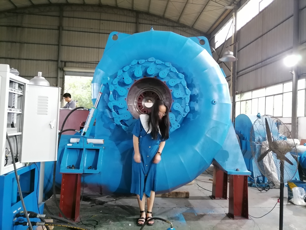 Générateur à turbine à eau de 220V à 690V pour la production d'énergie durable
