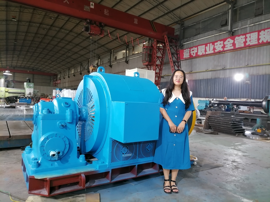 Générateur à turbine à eau de 220V à 690V pour la production d'énergie durable