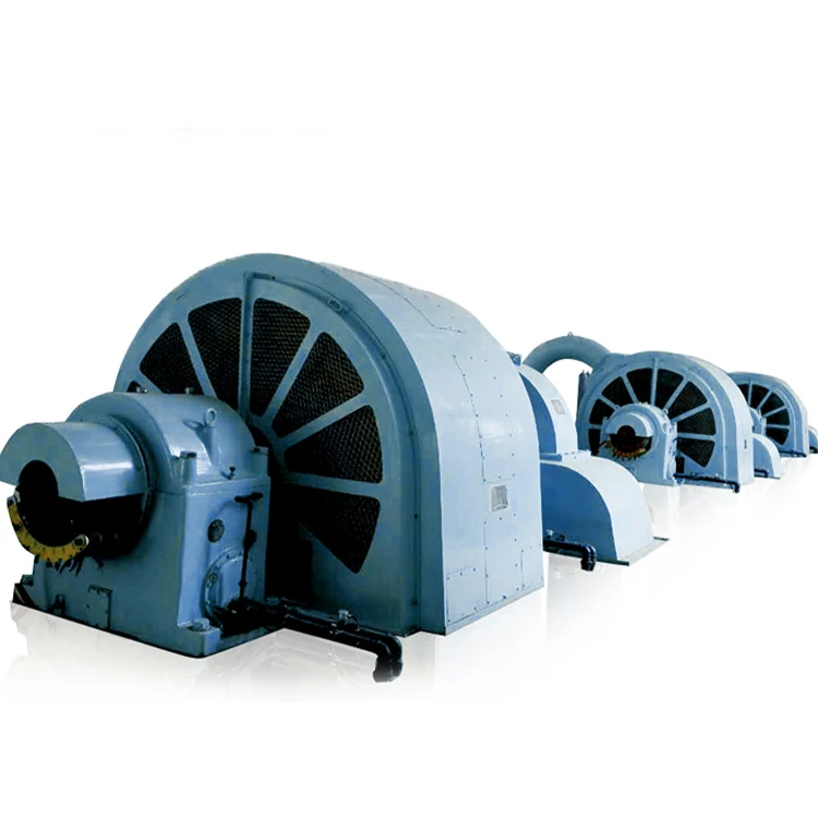 Générateur de turbine à roue de Pelton à tension nominale de 6 à 10 kV avec construction en fonte/acier inoxydable