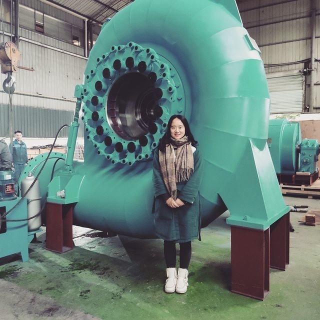 50 ans Installation verticale / horizontale Générateur de turbine à eau sans pinceau / Silicium statique