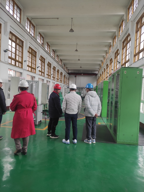 Prix d'usine de haute qualité Générateur de turbine hydraulique Kaplan Pièces de rechange hydroélectriques pour la centrale électrique à faible tête