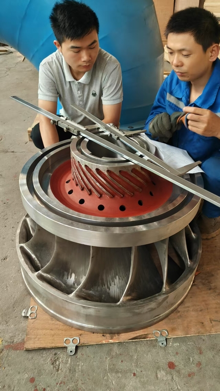 Turbine hydroélectrique personnalisée de 200 kW à 20 MW pour l'énergie renouvelable et écologique