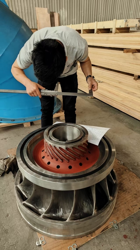 Turbine hydroélectrique personnalisée de 200 kW à 20 MW pour l'énergie renouvelable et écologique