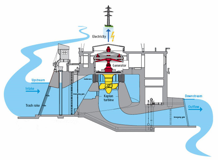 Turbine hydraulique en acier inoxydable de 0,5 à 10 mètres pour une production d'énergie écologique et durable