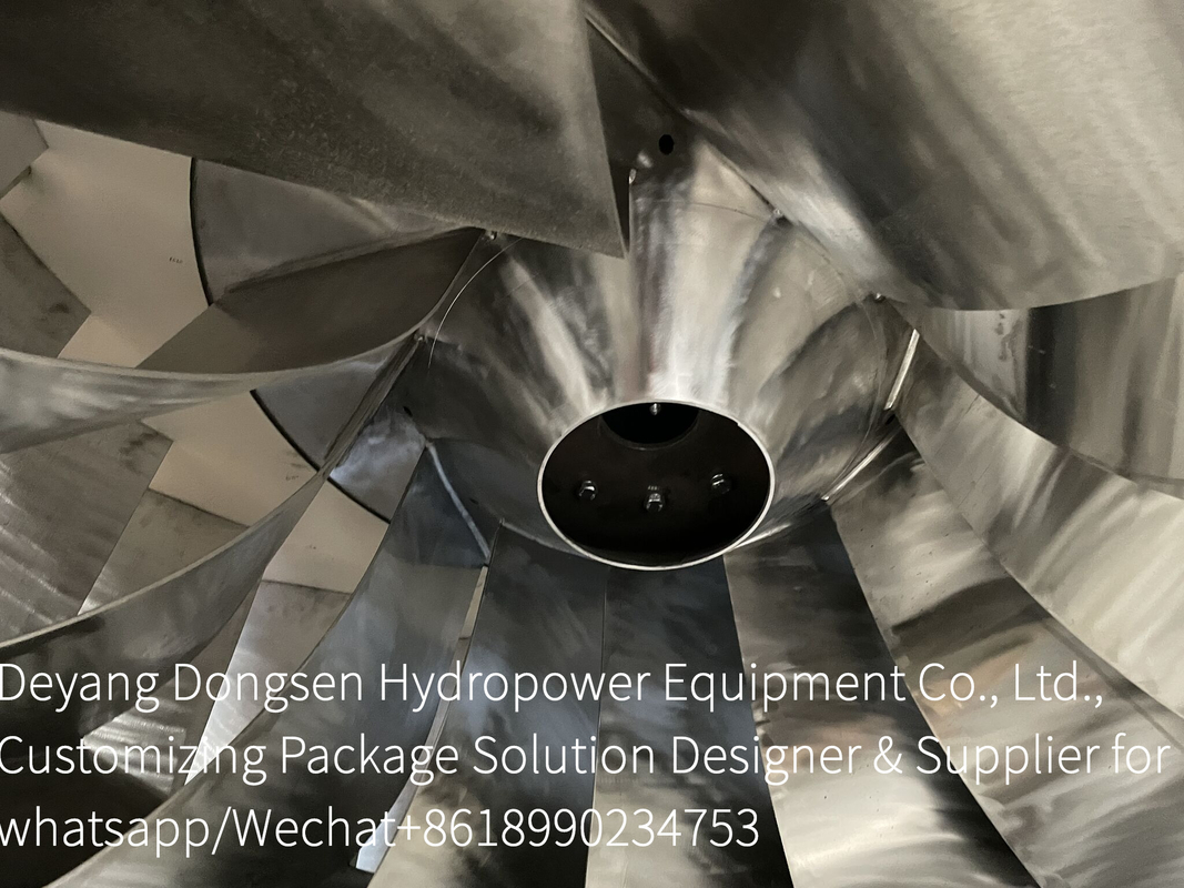 Turbine hydraulique en acier inoxydable de 0,5 à 10 mètres pour une production d'énergie écologique et durable