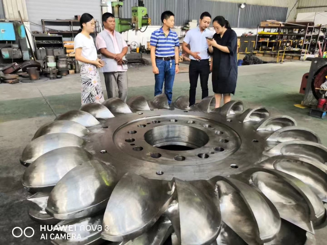 Turbine hydraulique de type lame fixe ou réglable pour une centrale hydroélectrique