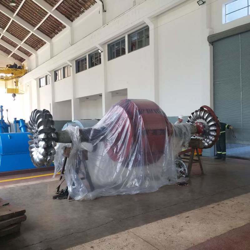 Générateurs de turbines Pelton écologiques Équipement hydroélectrique durable pour des projets énergétiques durables