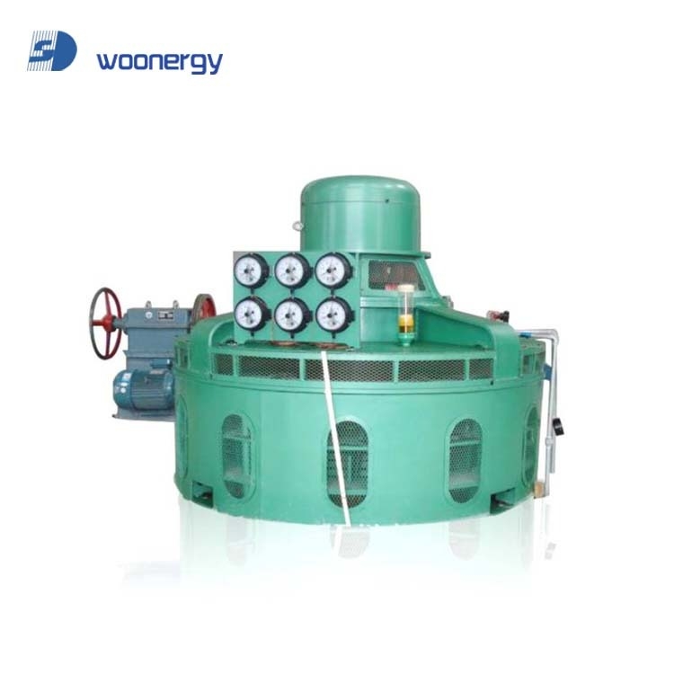 Génération d'énergie hydroélectrique Turbine hydraulique avec une longueur de lame personnalisée et une vitesse nominale du rotor de 300 tr / min