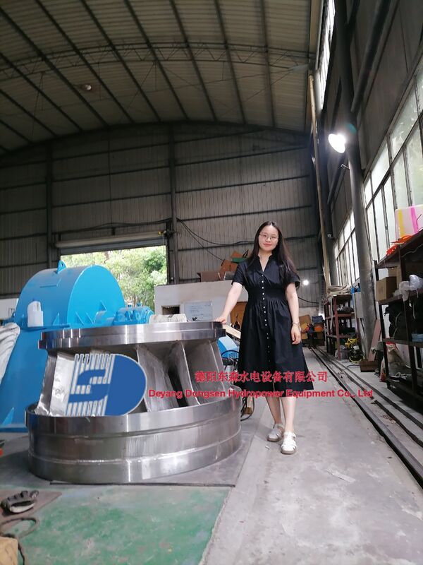 Turbine hydraulique en acier inoxydable avec des dimensions de lame personnalisables pour des applications hydroélectriques de 1 à 10 MW