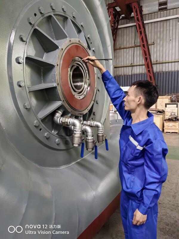 Résistant à l'hydroélectricité certifié ISO 9001 avec 3 à 10 configurations de lames pour un rendement de 92% dans la production d'énergie hydraulique