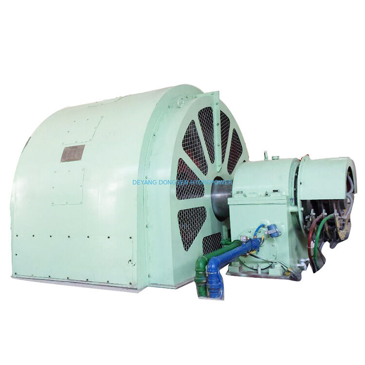 Période de production 6 mois Turbine Pelton Générateur Équipement hydroélectrique conçu pour la production d'énergie renouvelable