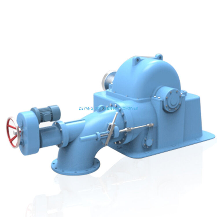 Générateur de turbine Pelton horizontal offrant un type de générateur synchrone ou asynchrone et une période de production de six mois conçu pour la conversion d'énergie