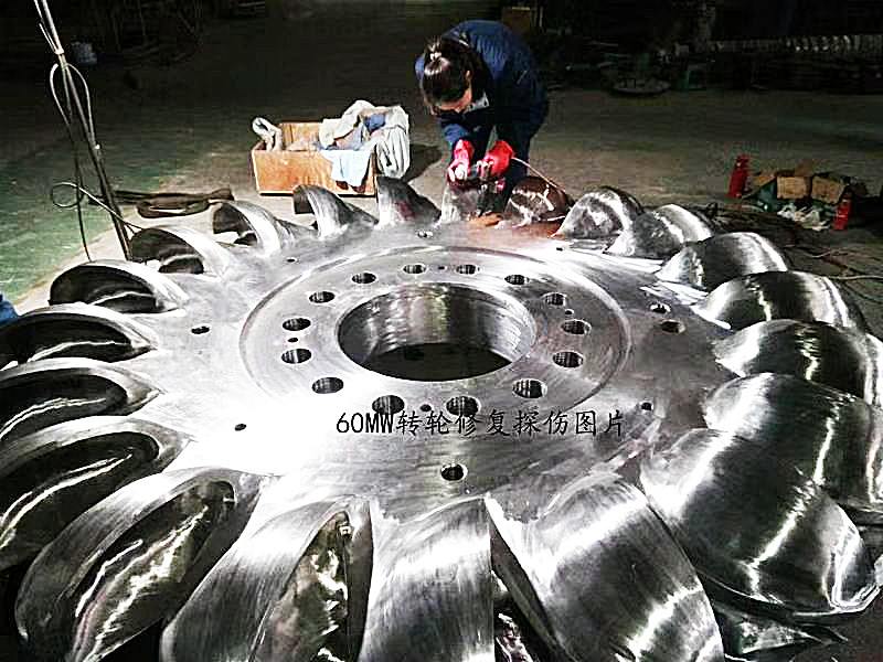Générateur de turbine de type Pelton avec mode d'excitation sans pinceau