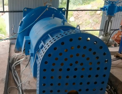 Turbine hydraulique Francis de 450 à 1000 tr/min pour les marchés personnalisés