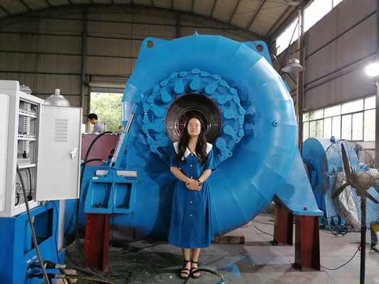 Générateur de turbine à eau polyvalent de couleur personnalisée pour des besoins énergétiques variés