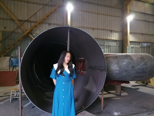 Générateur de turbine à eau personnalisé pour la production d'électricité avec vitesse et fréquence réglables