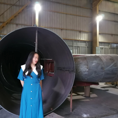 Générateur de turbine à eau de 200 kW à 20 MW avec commande automatique / manuelle