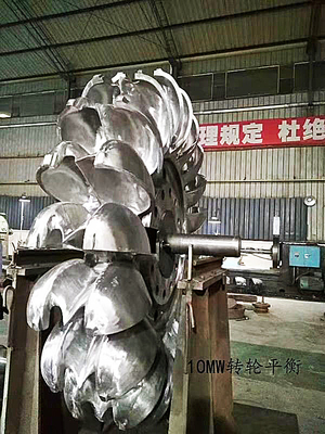 le coureur hydraulique de turbine de 800kw Pelton a adapté le petit équipement aux besoins du client hydraulique de turbine